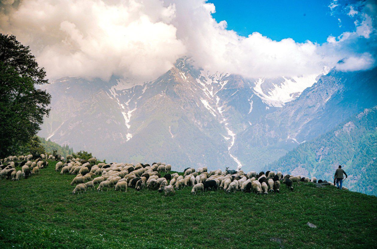 Renting a Car in Kyrgyzstan